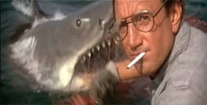jaws