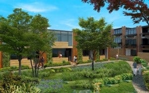 The Grove neighborhood is a cluster of beautifully designed homes set around a quiet woodland. 