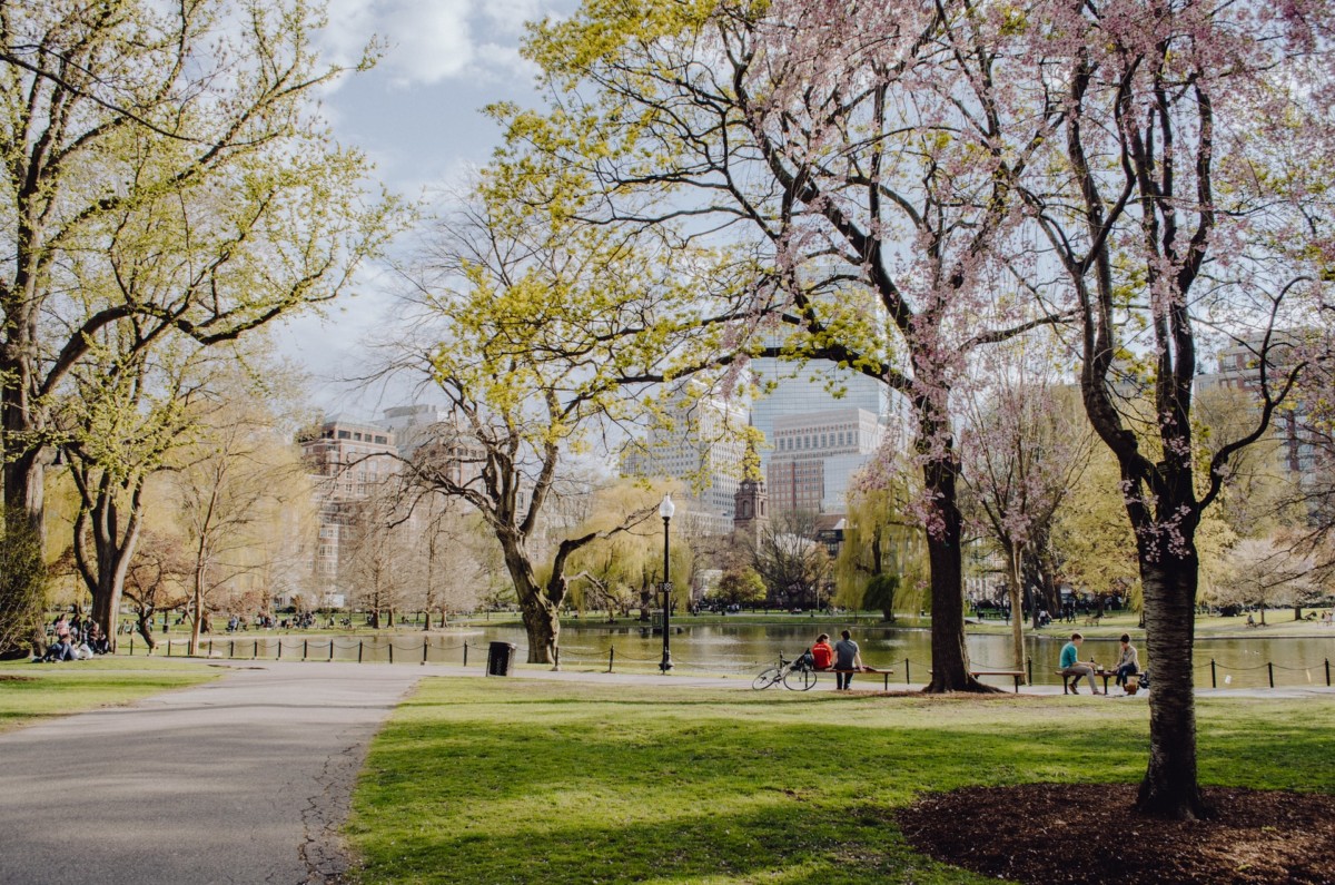 a beautiful park in Boston