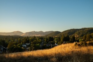 10 Things to Do in Santa Rosa, CA in 2024