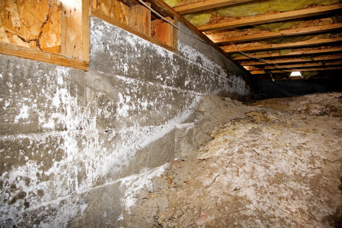 crawl space of a typical home