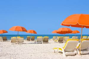 Fun Under the Sun: 10 Free Things to Do in Sarasota, FL