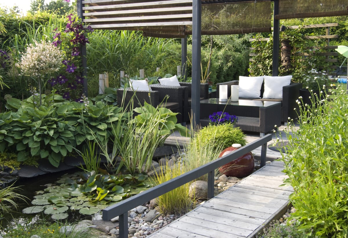 Certifying Your Yard or Garden as a Wildlife Habitat
