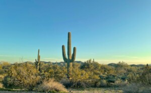 Is Glendale, AZ a Good Place to Live? 10 Pros and Cons of Living in Glendale