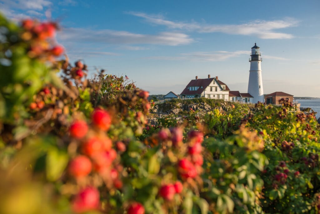 10 Pros and Cons of Living in Maine