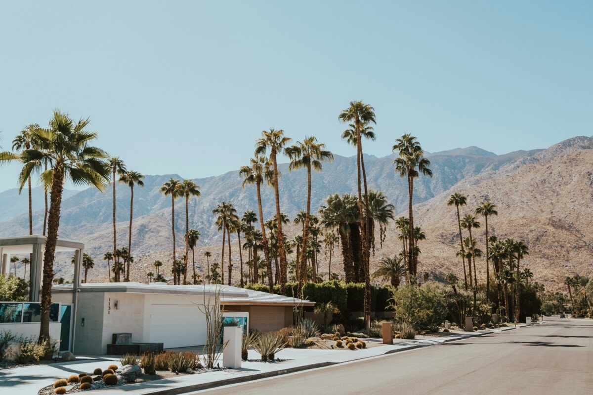 16 Must-Experience Activities in Palm Springs, CA
