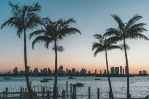 What is Miami, FL Known For? 10 Things to Love About This City