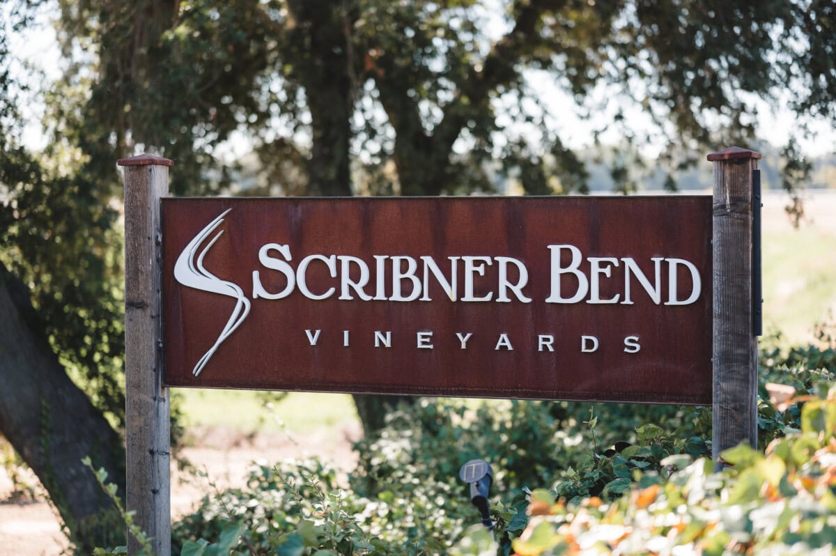 Scribner Bend Vineyards