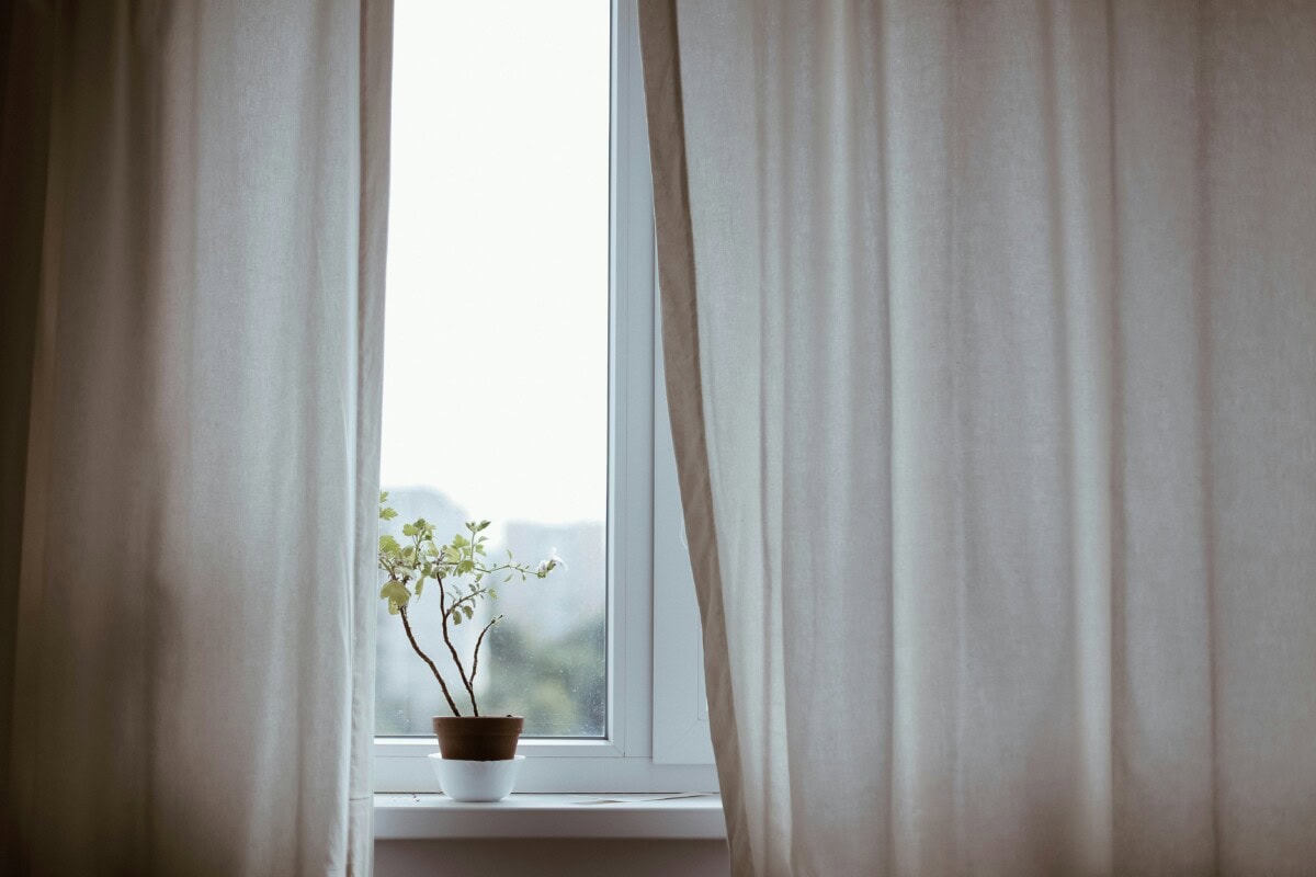 open window with a plant